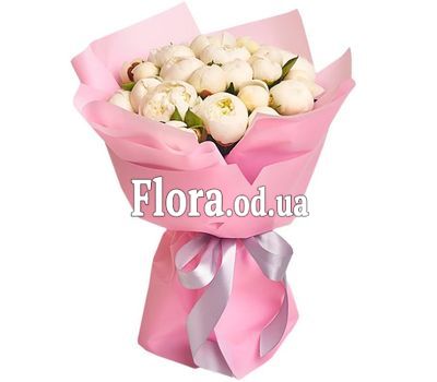 19 белых пионов