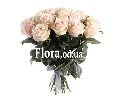 25 Pink Mondial roses
