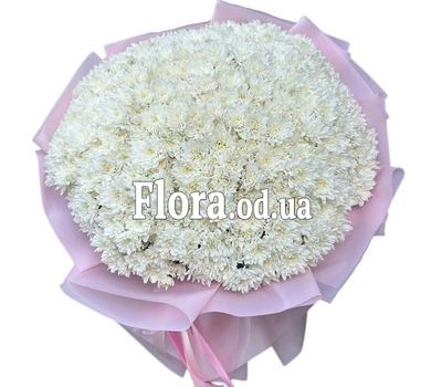 51 white chrysanthemum