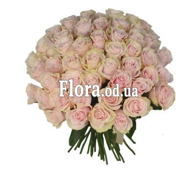 51 роза Пинк Мондиаль