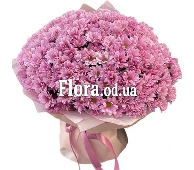 55 pink chrysanthemum
