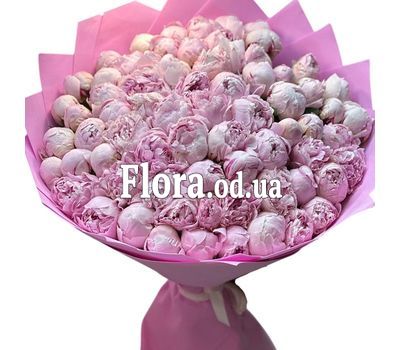 75 розовых пионов