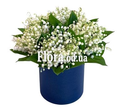 Lilies of the valley in a box