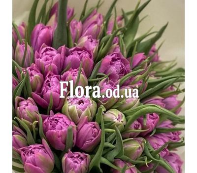 Тюльпаны поштучно